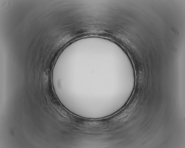 X0000111531257200908041257