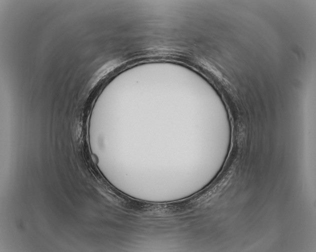 X0000111531259200908041257