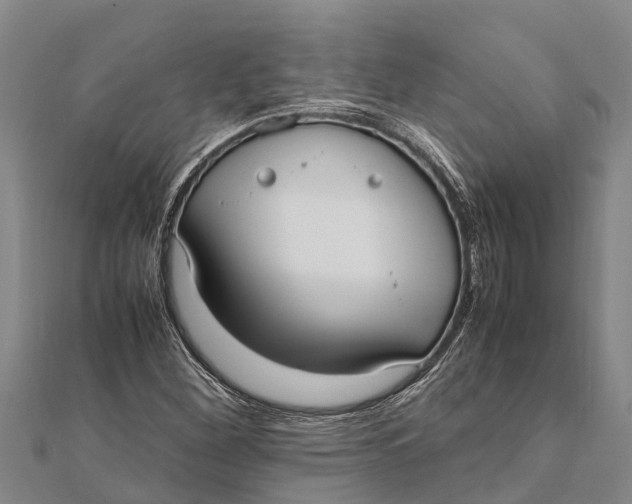 X0000111531260200908041257