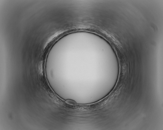 X0000111531262200908041257