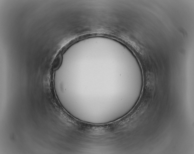 X0000111531264200908041257