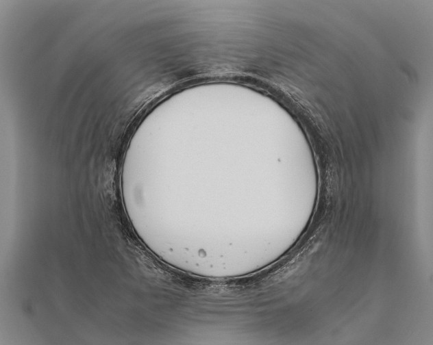 X0000111531265200908041257