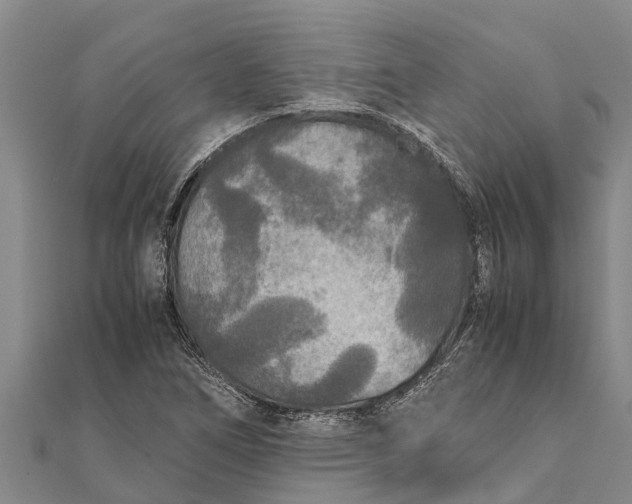 X0000111531266200908041257