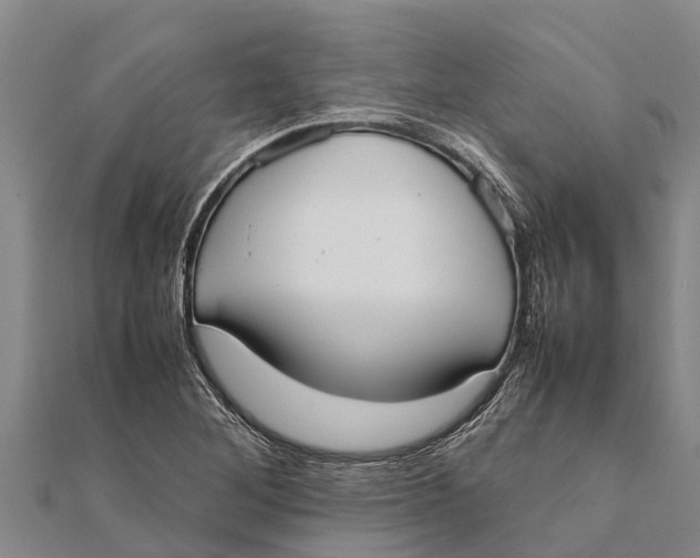 X0000111531268200908041257