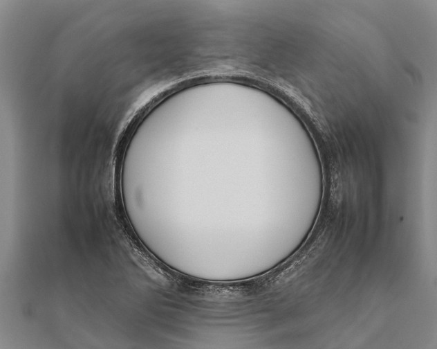 X0000111531270200908041257