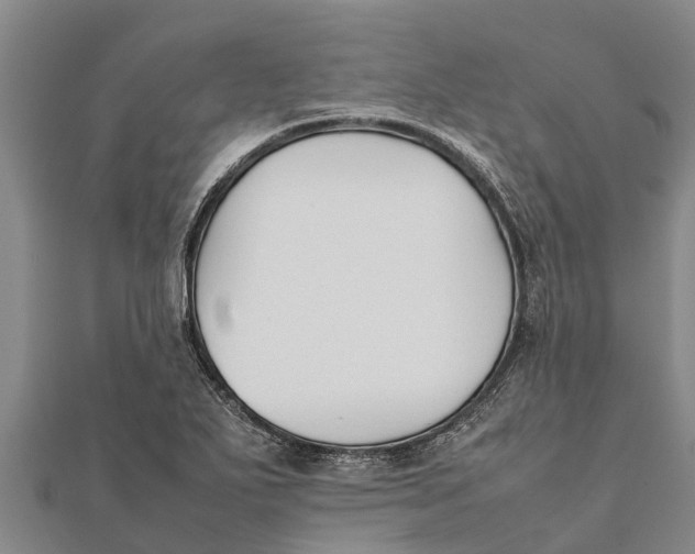 X0000111531271200908041257