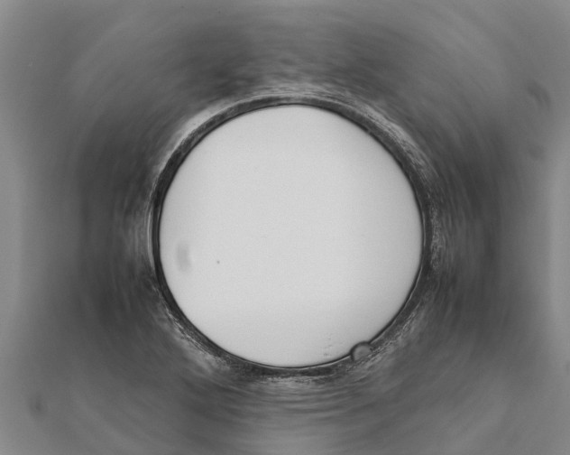 X0000111531272200908041257