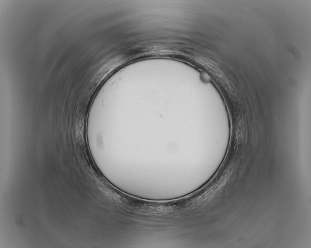 X0000111531273200908041257