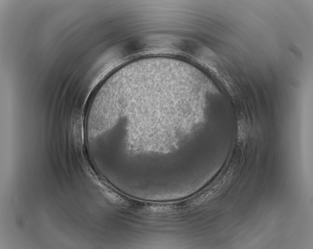 X0000111531274200908041257