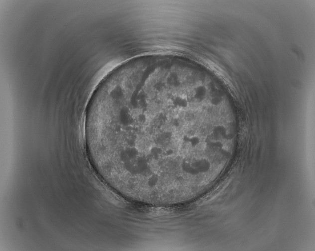 X0000111531275200908041257