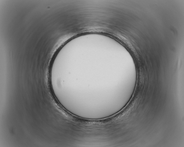 X0000111531277200908041257