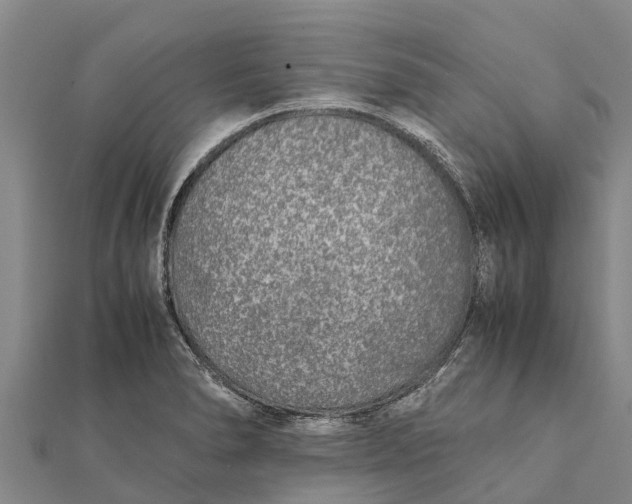 X0000111531278200908041257