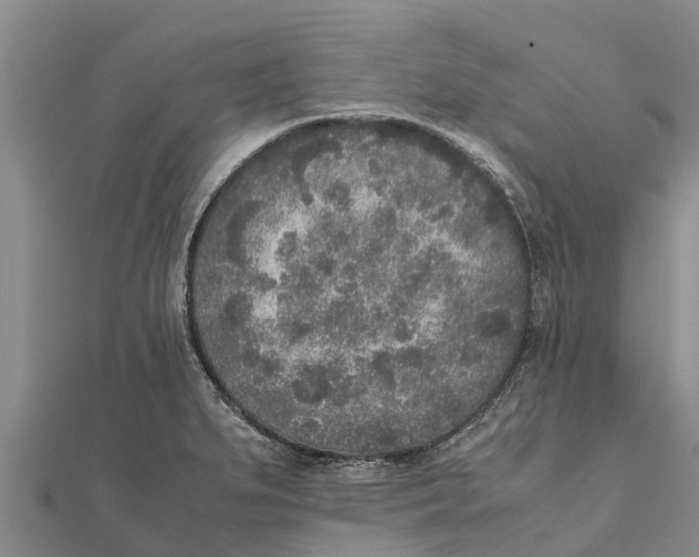 X0000111531279200908041257