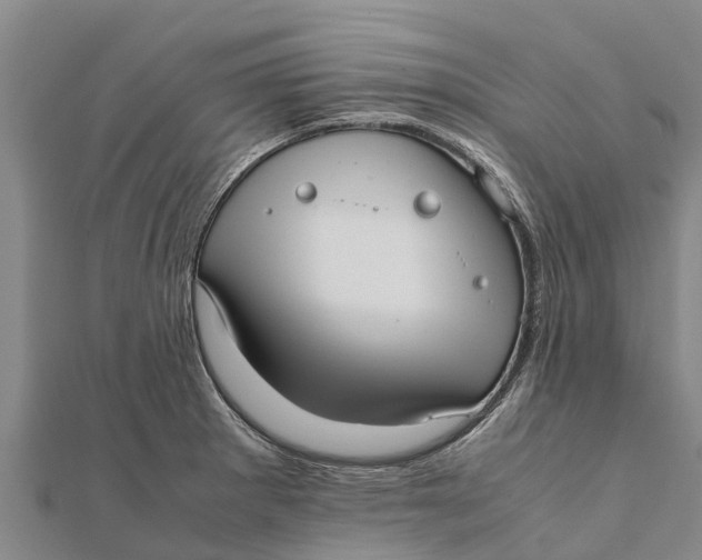 X0000111531281200908041257