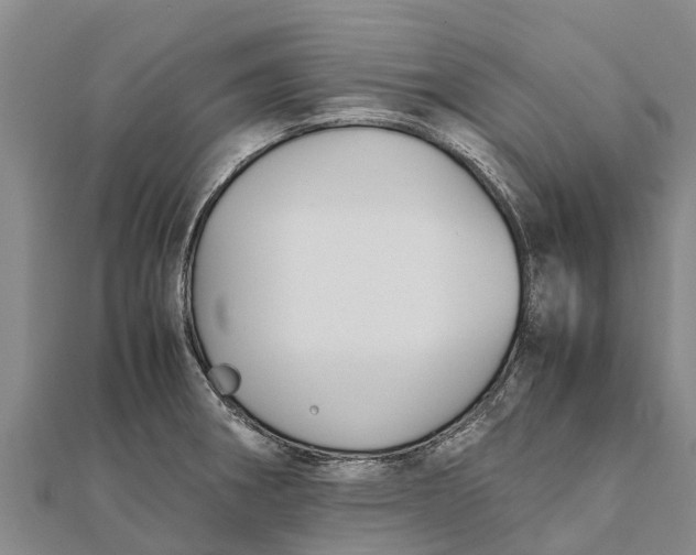 X0000111531282200908041257