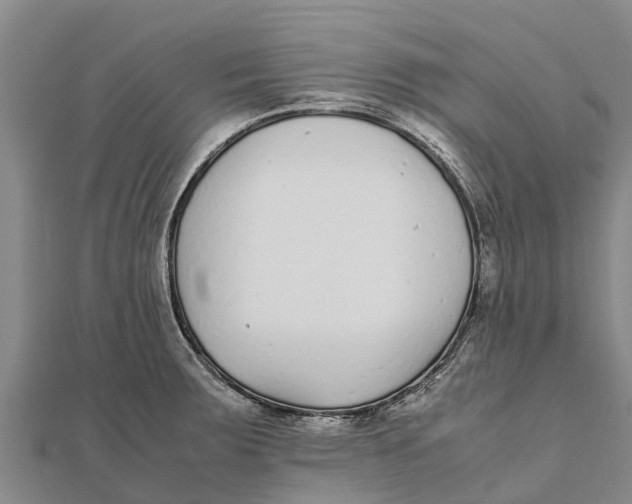 X0000111531283200908041257