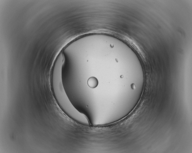 X0000111531284200908041257