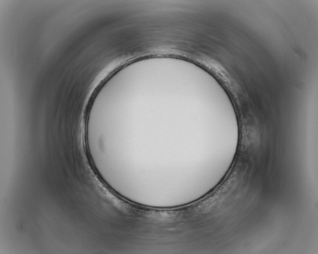 X0000111531286200908041257