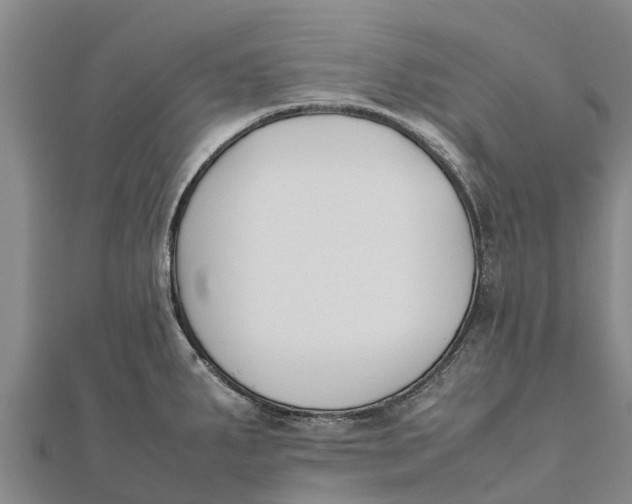 X0000111531287200908041257