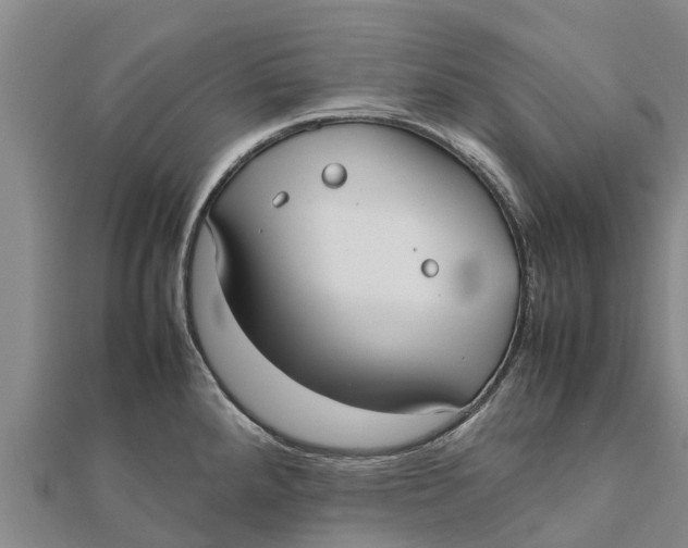 X0000111531288200908041257