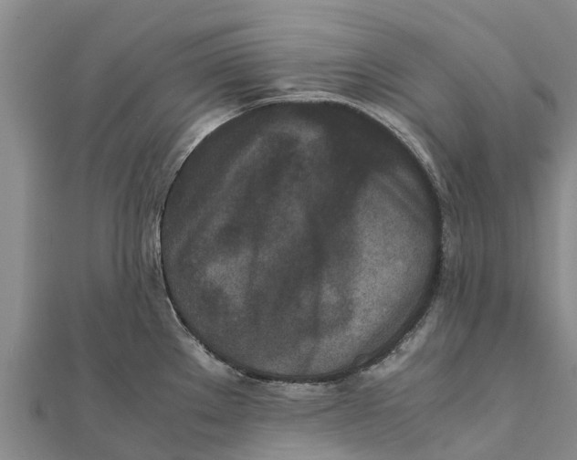 X0000111531289200908041257