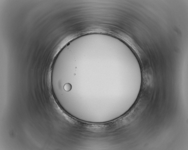 X0000111531290200908041257