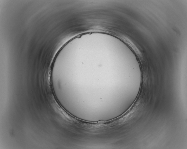 X0000111531292200908041257