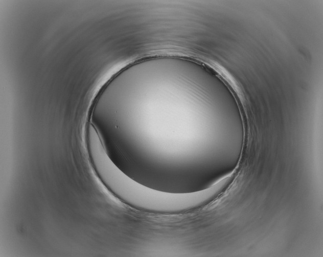 X0000111531293200908041257