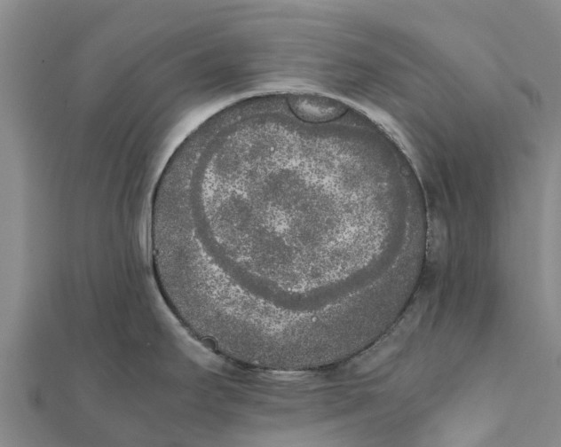 X0000111531295200908041257