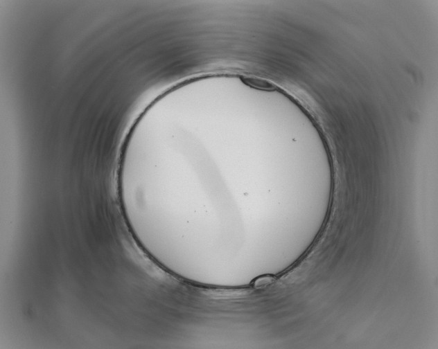 X0000111531296200908041257