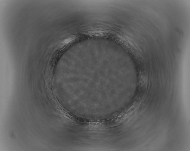 X0000111531297200908041256