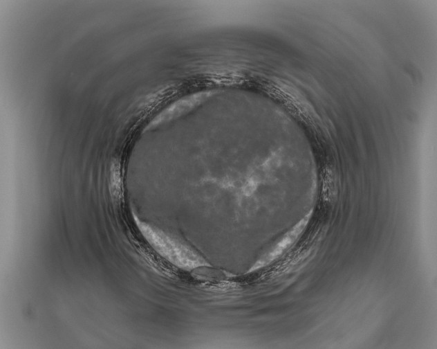 X0000111531298200908041256