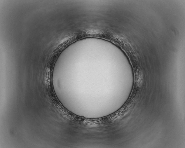 X0000111531301200908041256