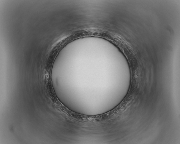 X0000111531302200908041256