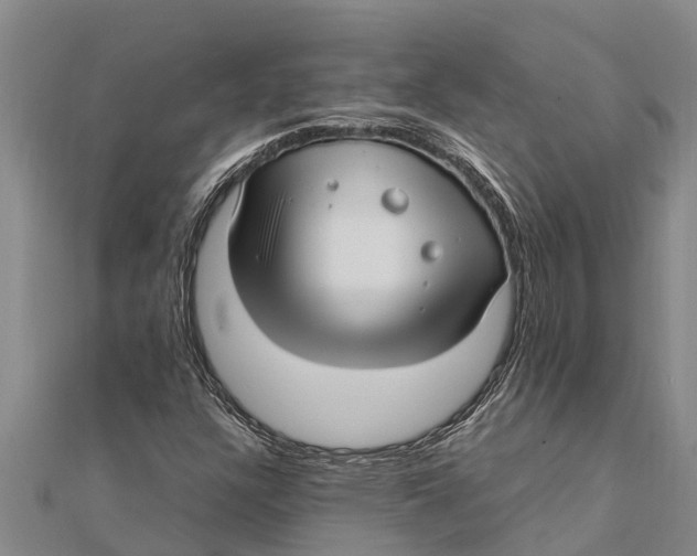 X0000111531304200908041256