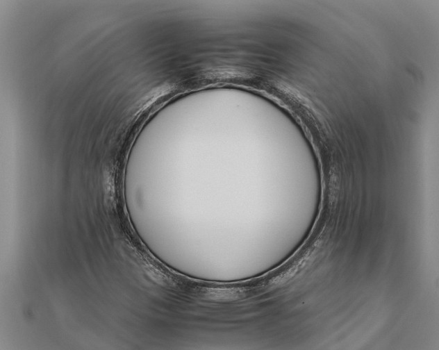 X0000111531305200908041256