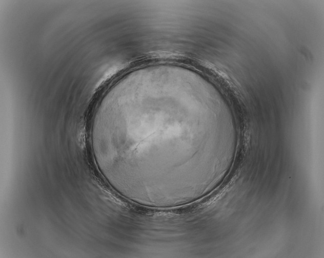 X0000111531306200908041256