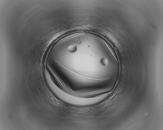 X0000111531308200908041256