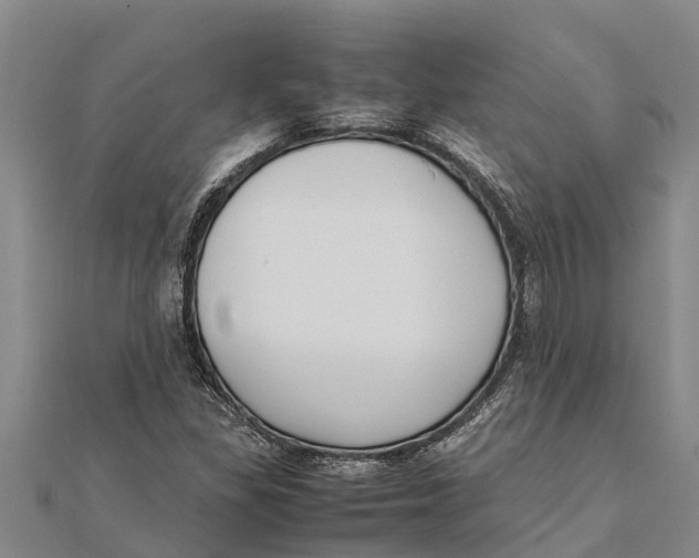 X0000111531309200908041256