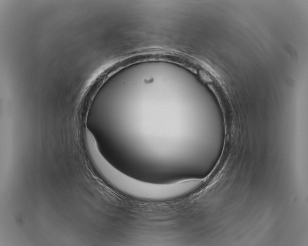 X0000111531310200908041256