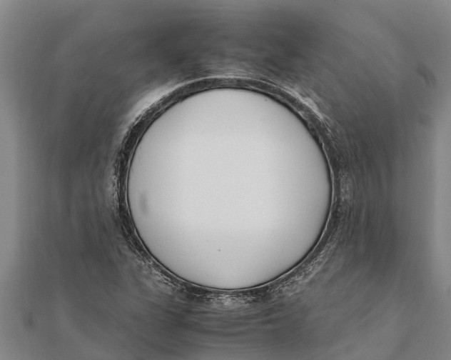 X0000111531311200908041256