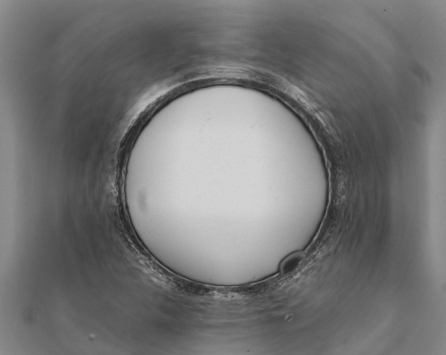 X0000111531312200908041256