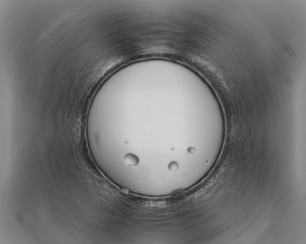 X0000111531313200908041256