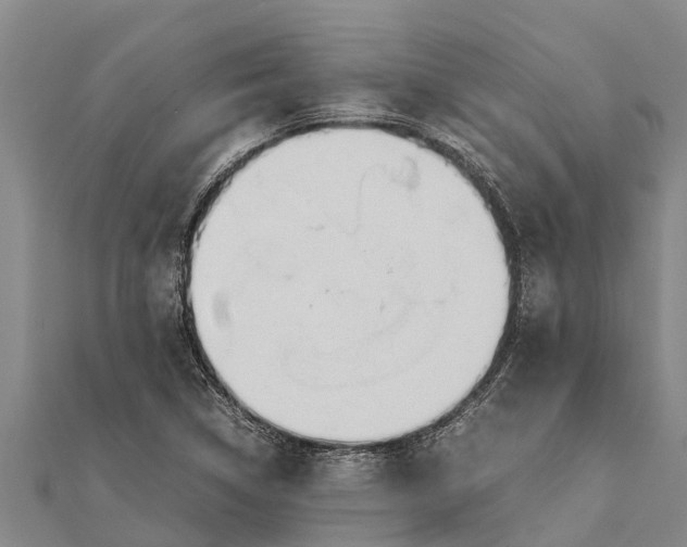 X0000111531314200908041256