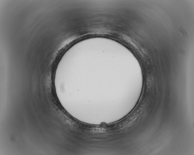 X0000111531315200908041256