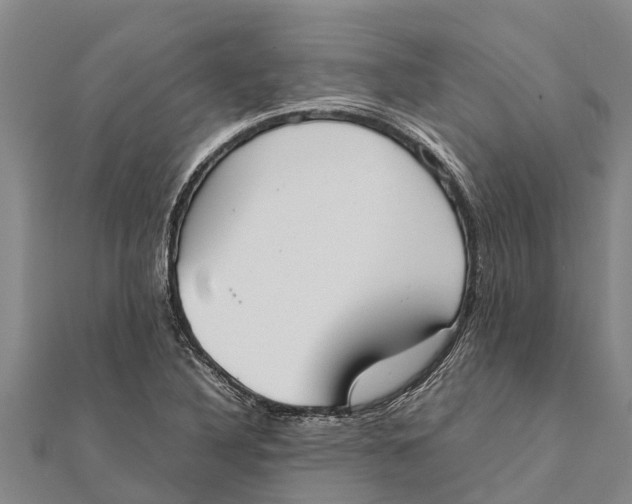 X0000111531316200908041257