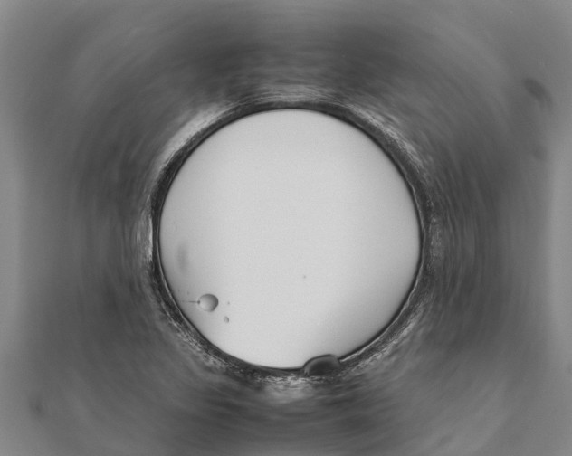 X0000111531317200908041257