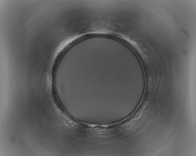 X0000111531319200908041257