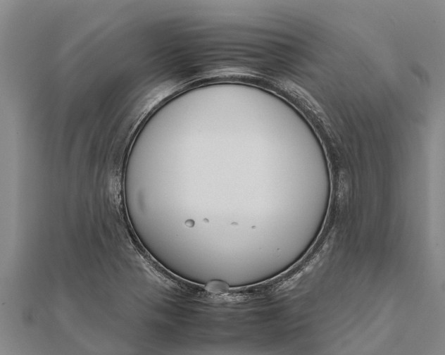 X0000111531321200908041257