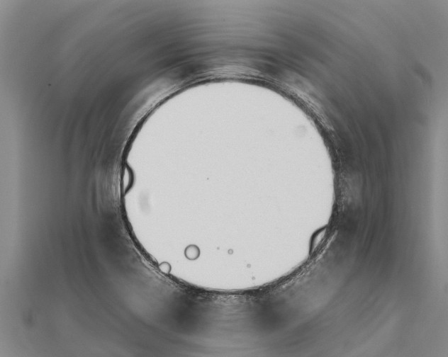 X0000111531322200908041257